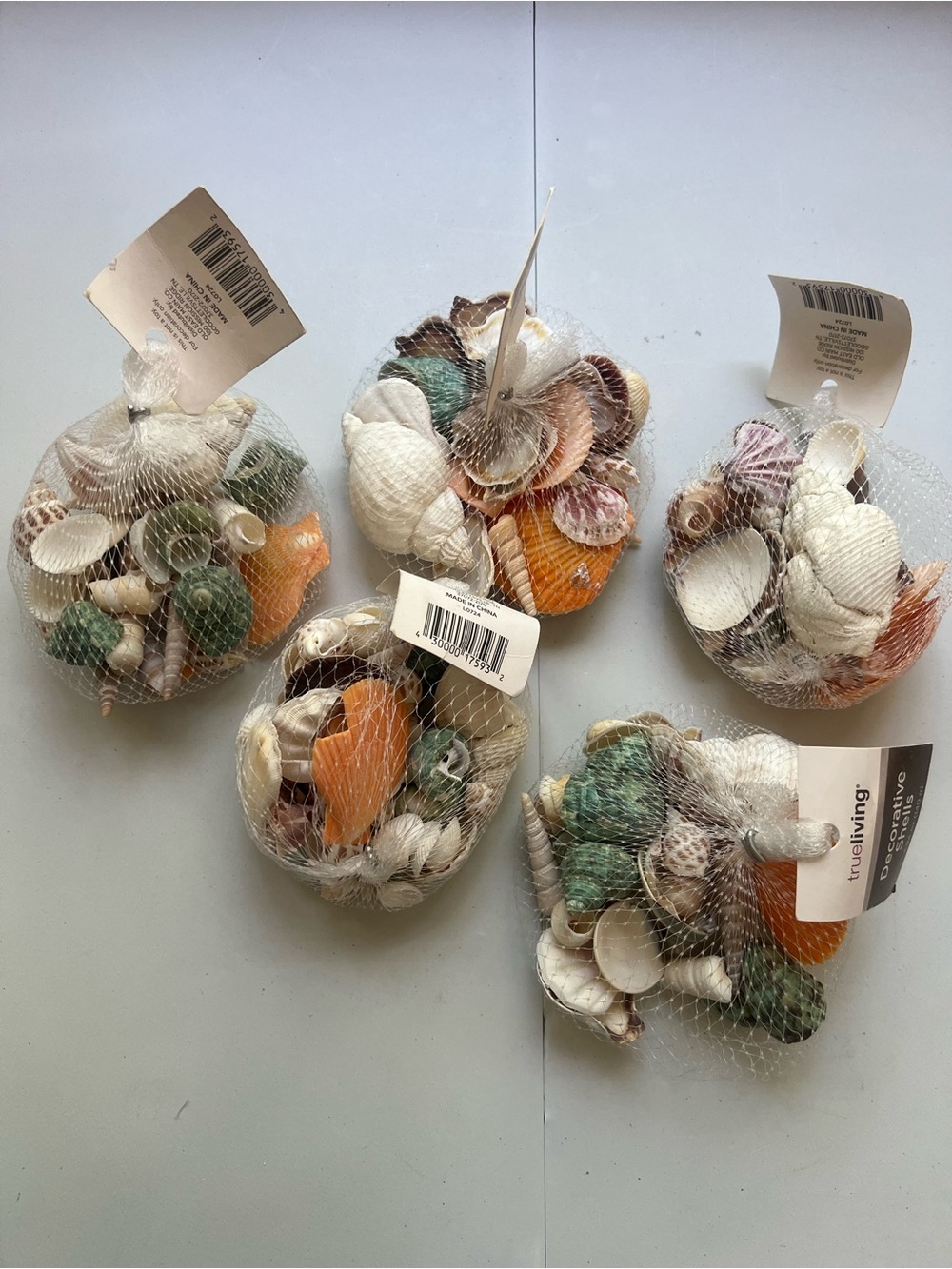 Pack of Assorted Decorative Sea Shells - Multicolor
